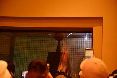 DSC_5650 (Large).JPG